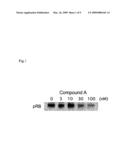 METHOD OF ASSUMING DRUG SENSITIVITY TO CDK4 INHIBITOR diagram and image