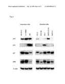 METHOD OF ASSUMING DRUG SENSITIVITY TO CDK4 INHIBITOR diagram and image