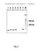 Universal primers and their use for detecting and identifying plant materials in complex mixtures diagram and image