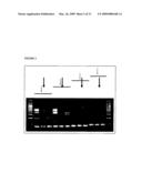 Detection and analysis of influenza virus diagram and image