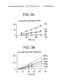 TRANSFECTION KINETICS AND STRUCTURAL PROMOTERS diagram and image