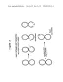 TRANSFECTION KINETICS AND STRUCTURAL PROMOTERS diagram and image