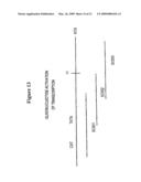 TRANSFECTION KINETICS AND STRUCTURAL PROMOTERS diagram and image