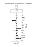 Multiplex Real-time Quantitative PCR diagram and image