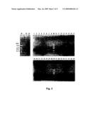 METHOD FOR DETECTING A BACTERIAL PATHOGEN diagram and image