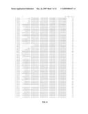 Genetic Identification And Validation Of Echinacea Species diagram and image