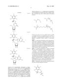 PHOTOCLEAVABLE LABELED NUCLEOTIDES AND NUCLEOSIDES AND METHODS FOR THEIR USE IN DNA SEQUENCING diagram and image