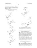 PHOTOCLEAVABLE LABELED NUCLEOTIDES AND NUCLEOSIDES AND METHODS FOR THEIR USE IN DNA SEQUENCING diagram and image