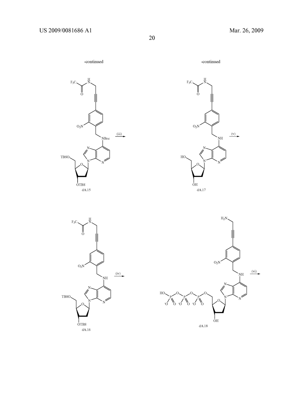 PHOTOCLEAVABLE LABELED NUCLEOTIDES AND NUCLEOSIDES AND METHODS FOR THEIR USE IN DNA SEQUENCING - diagram, schematic, and image 21