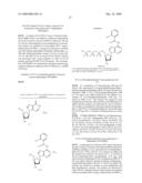 PHOTOCLEAVABLE LABELED NUCLEOTIDES AND NUCLEOSIDES AND METHODS FOR THEIR USE IN DNA SEQUENCING diagram and image