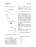 PHOTOCLEAVABLE LABELED NUCLEOTIDES AND NUCLEOSIDES AND METHODS FOR THEIR USE IN DNA SEQUENCING diagram and image