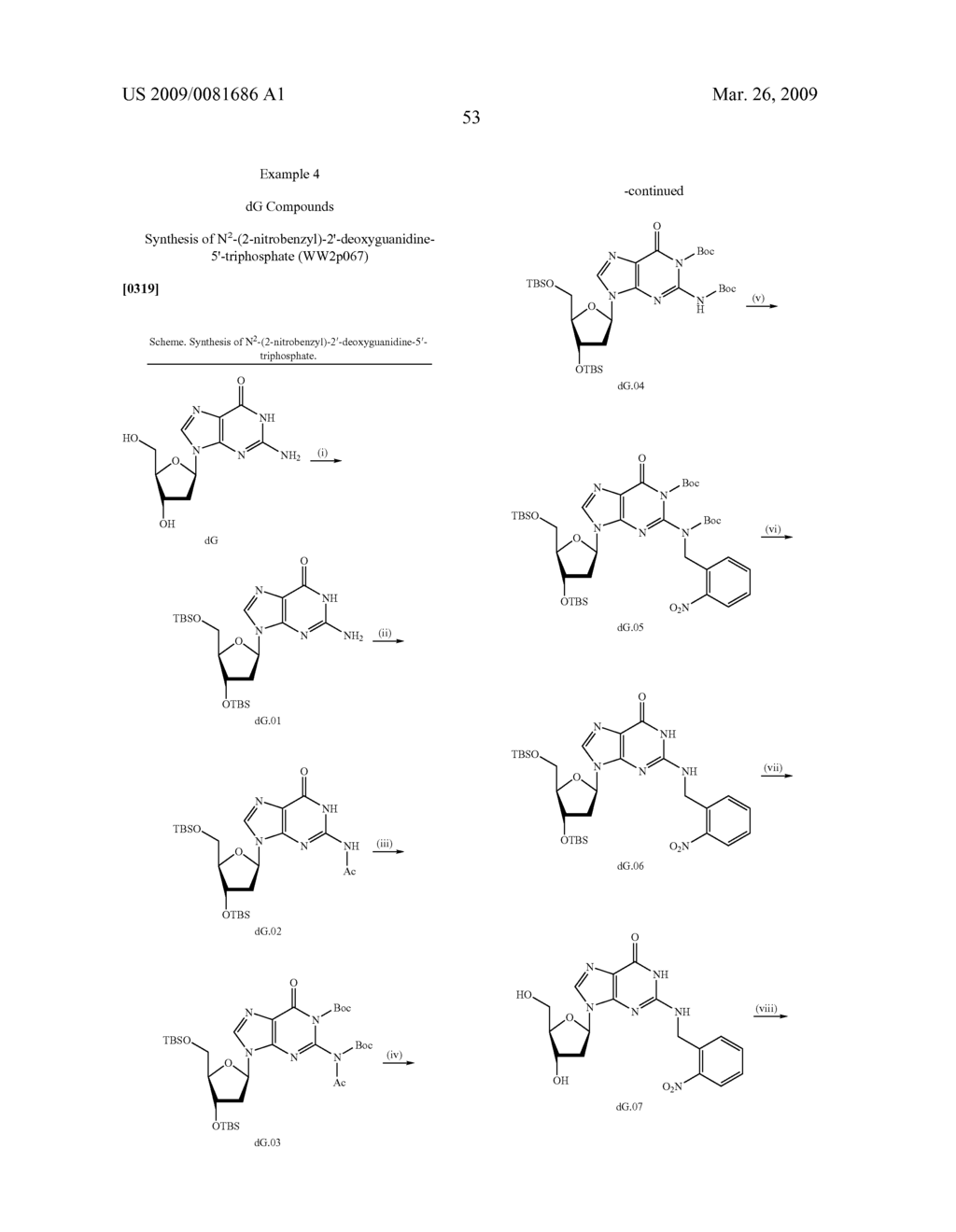 PHOTOCLEAVABLE LABELED NUCLEOTIDES AND NUCLEOSIDES AND METHODS FOR THEIR USE IN DNA SEQUENCING - diagram, schematic, and image 54