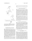 PHOTOCLEAVABLE LABELED NUCLEOTIDES AND NUCLEOSIDES AND METHODS FOR THEIR USE IN DNA SEQUENCING diagram and image