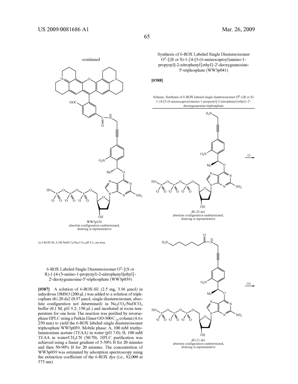 PHOTOCLEAVABLE LABELED NUCLEOTIDES AND NUCLEOSIDES AND METHODS FOR THEIR USE IN DNA SEQUENCING - diagram, schematic, and image 66