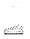 Ceramide Kinase Loop diagram and image