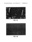 COMPOSITIONS, METHODS AND KITS FOR REAL-TIME ENZYME ASSAYS USING CHARGED MOLECULES diagram and image