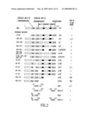 NOVEL PEPTIDES AND COMPOSITIONS WHICH MODULATE APOPTOSIS diagram and image