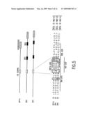 NOVEL PEPTIDES AND COMPOSITIONS WHICH MODULATE APOPTOSIS diagram and image