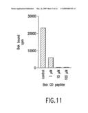 NOVEL PEPTIDES AND COMPOSITIONS WHICH MODULATE APOPTOSIS diagram and image