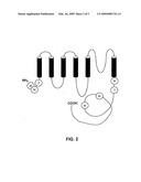 Mutations in Ion Channels diagram and image