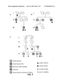 Mutations in Ion Channels diagram and image