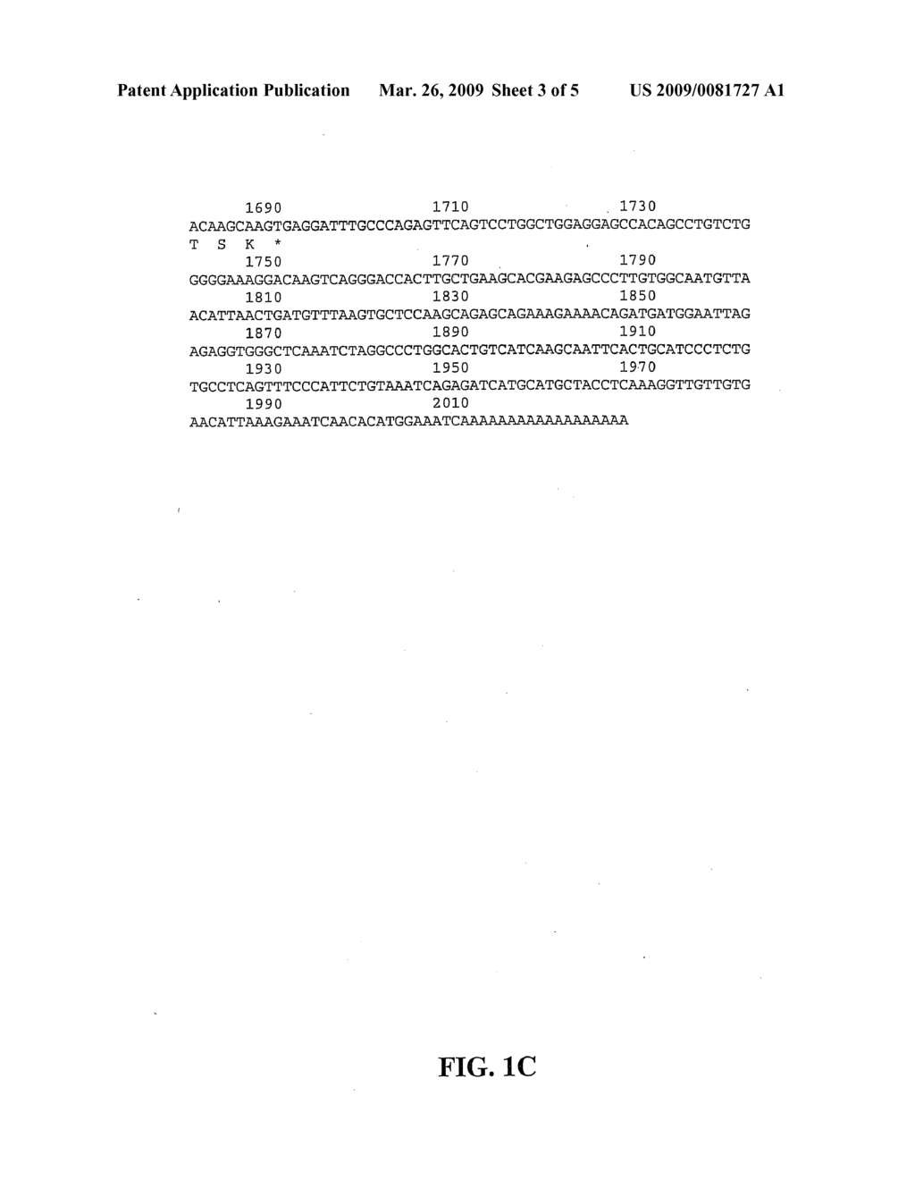 CD33-Like Protein - diagram, schematic, and image 04