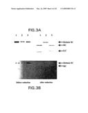 ACTIVATABLE RECOMBINANT NEUROTOXINS diagram and image