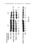 ACTIVATABLE RECOMBINANT NEUROTOXINS diagram and image