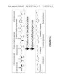 BIOFUEL PRODUCTION BY RECOMBINANT MICROORGANISMS diagram and image