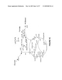 BIOFUEL PRODUCTION BY RECOMBINANT MICROORGANISMS diagram and image