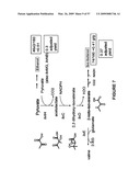 BIOFUEL PRODUCTION BY RECOMBINANT MICROORGANISMS diagram and image