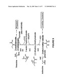 BIOFUEL PRODUCTION BY RECOMBINANT MICROORGANISMS diagram and image