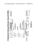 BIOFUEL PRODUCTION BY RECOMBINANT MICROORGANISMS diagram and image