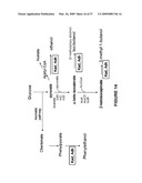 BIOFUEL PRODUCTION BY RECOMBINANT MICROORGANISMS diagram and image