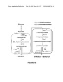 BIOFUEL PRODUCTION BY RECOMBINANT MICROORGANISMS diagram and image