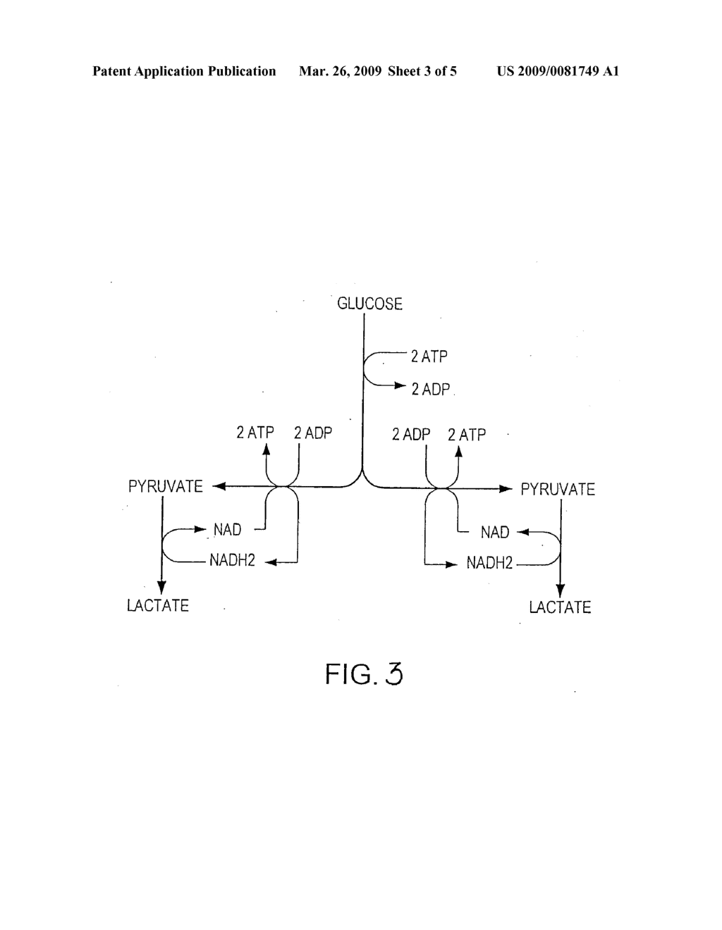 PROCESS FOR PRODUCING ETHANOL FROM CORN DRY MILLING - diagram, schematic, and image 04