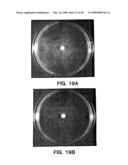 Heterologous G protein coupled receptors expressed in yeast, their fusion with G proteins and use thereof in bioassay diagram and image