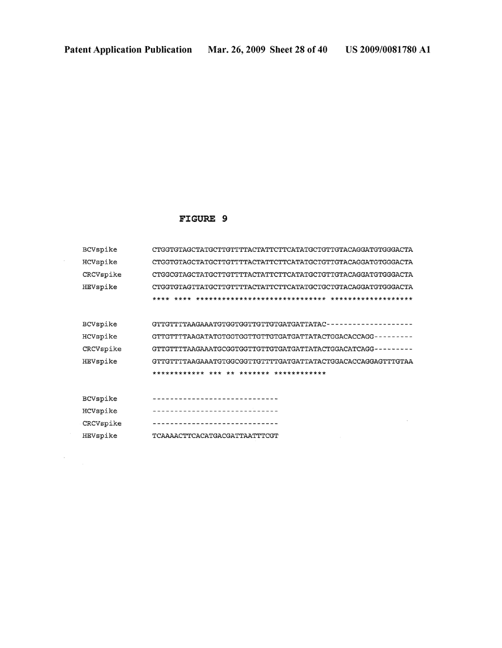 CANINE RESPIRATORY CORONAVIRUS (CRCV) SPIKE PROTEIN, POLYMERASE AND HEMAGGLUTININ/ESTERASE - diagram, schematic, and image 29