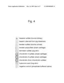 Monoclonal antibody specific to dentin-derived heparan sulfate diagram and image