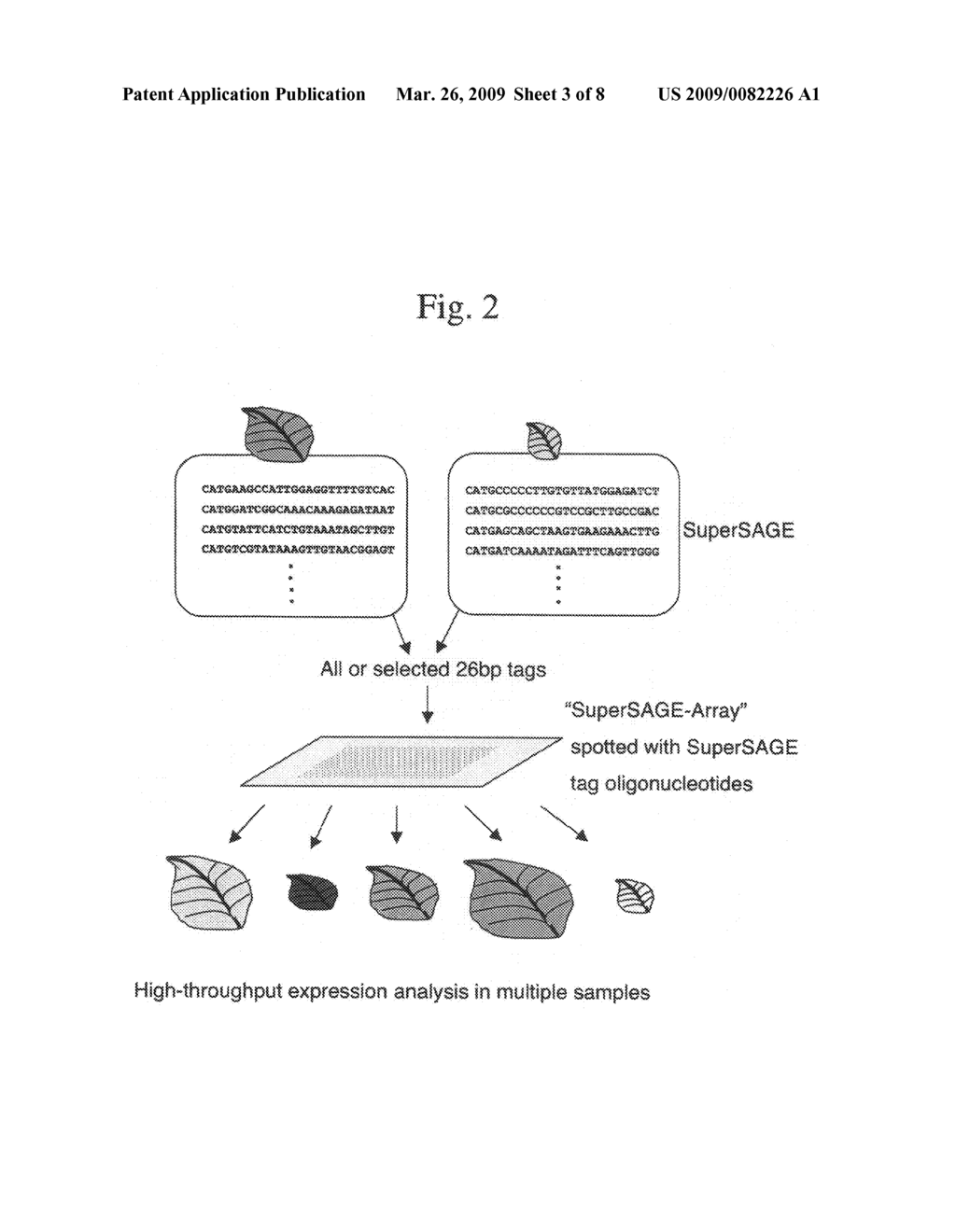 Gene expression analysis using array with immobilized tags of more than 25 bp (SuperSAGE-Array) - diagram, schematic, and image 04