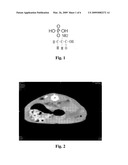 ACTIVE PEPTIDE OF BONE MORPHOGENETIC PROTEIN-2, METHOD FOR MANUFACTURING THE SAME AND THE APPLICATION diagram and image