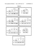 Methods of treatment of acute renal failure diagram and image