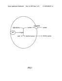 METHOD FOR PRODUCING OLIGOPOLYSACCHARIDES diagram and image