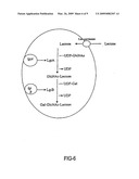 METHOD FOR PRODUCING OLIGOPOLYSACCHARIDES diagram and image