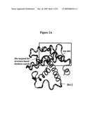 SMALL MOLECULE ANTAGONISTS OF BCL-2 FAMILY PROTEINS diagram and image