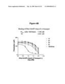 SMALL MOLECULE ANTAGONISTS OF BCL-2 FAMILY PROTEINS diagram and image