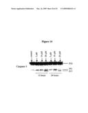 SMALL MOLECULE ANTAGONISTS OF BCL-2 FAMILY PROTEINS diagram and image