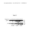 SMALL MOLECULE ANTAGONISTS OF BCL-2 FAMILY PROTEINS diagram and image