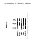 SMALL MOLECULE ANTAGONISTS OF BCL-2 FAMILY PROTEINS diagram and image