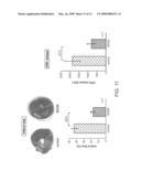 MITOCHONDRIAL ALDEHYDE DEHYDROGENASE-2 MODULATORS AND METHODS OF USE THEREOF diagram and image